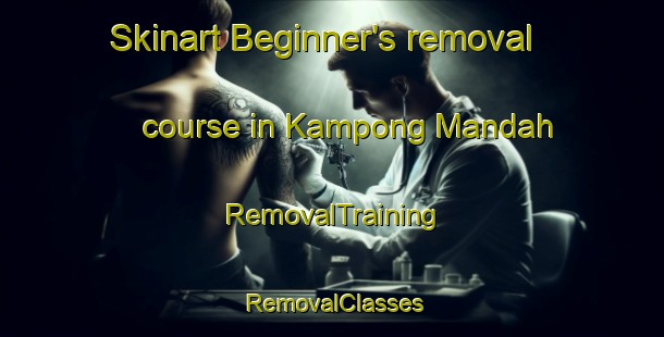 Skinart Beginner's removal course in Kampong Mandah | RemovalTraining | RemovalClasses | SkinartTraining-Malaysia