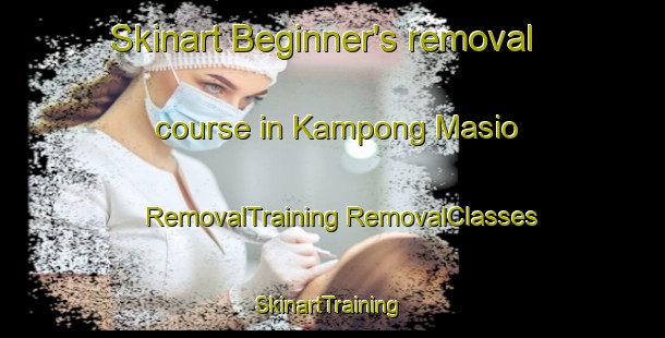 Skinart Beginner's removal course in Kampong Masio | #RemovalTraining #RemovalClasses #SkinartTraining-Malaysia