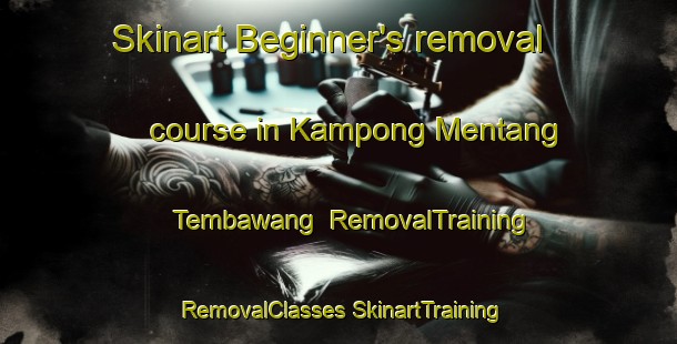 Skinart Beginner's removal course in Kampong Mentang Tembawang | #RemovalTraining #RemovalClasses #SkinartTraining-Malaysia