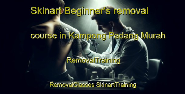 Skinart Beginner's removal course in Kampong Padang Murah | #RemovalTraining #RemovalClasses #SkinartTraining-Malaysia