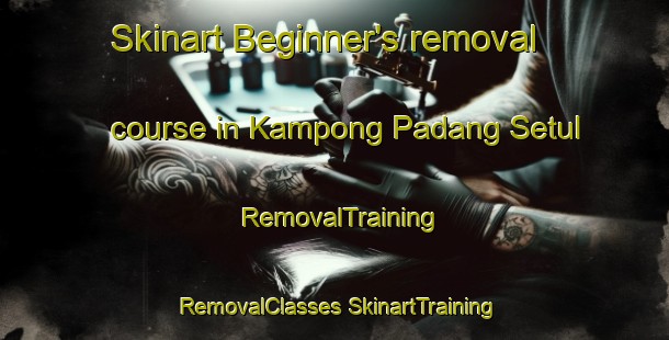 Skinart Beginner's removal course in Kampong Padang Setul | #RemovalTraining #RemovalClasses #SkinartTraining-Malaysia