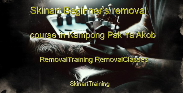 Skinart Beginner's removal course in Kampong Pak Ya Akob | #RemovalTraining #RemovalClasses #SkinartTraining-Malaysia