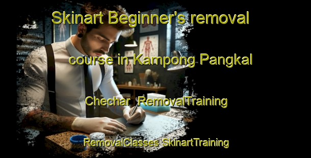 Skinart Beginner's removal course in Kampong Pangkal Chechar | #RemovalTraining #RemovalClasses #SkinartTraining-Malaysia