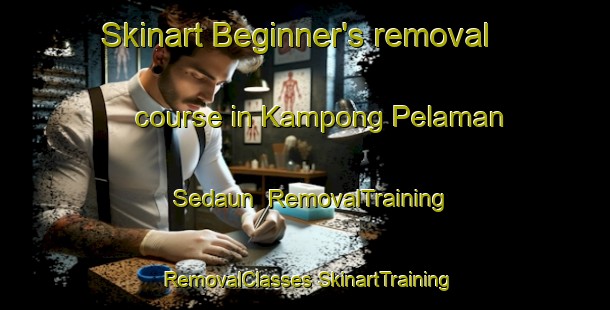 Skinart Beginner's removal course in Kampong Pelaman Sedaun | #RemovalTraining #RemovalClasses #SkinartTraining-Malaysia