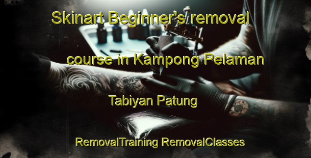 Skinart Beginner's removal course in Kampong Pelaman Tabiyan Patung | #RemovalTraining #RemovalClasses #SkinartTraining-Malaysia