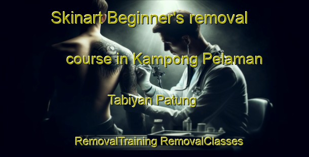 Skinart Beginner's removal course in Kampong Pelaman Tabiyan Patung | #RemovalTraining #RemovalClasses #SkinartTraining-Malaysia