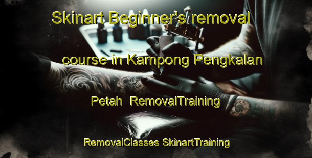 Skinart Beginner's removal course in Kampong Pengkalan Petah | #RemovalTraining #RemovalClasses #SkinartTraining-Malaysia