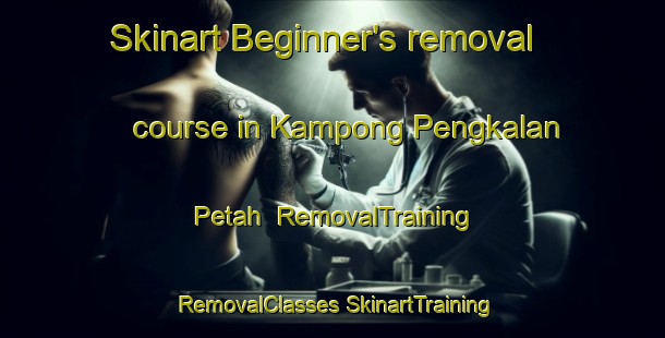 Skinart Beginner's removal course in Kampong Pengkalan Petah | #RemovalTraining #RemovalClasses #SkinartTraining-Malaysia