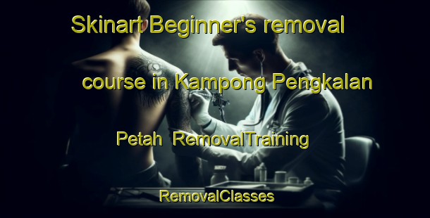 Skinart Beginner's removal course in Kampong Pengkalan Petah | RemovalTraining | RemovalClasses | SkinartTraining-Malaysia