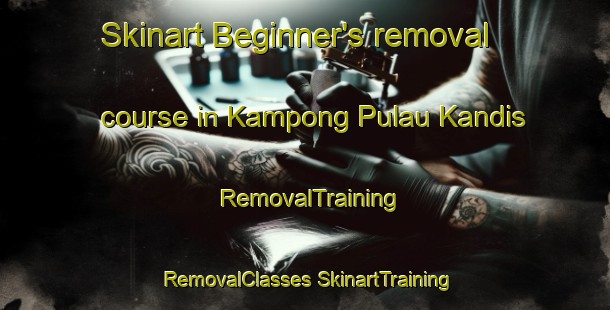 Skinart Beginner's removal course in Kampong Pulau Kandis | #RemovalTraining #RemovalClasses #SkinartTraining-Malaysia