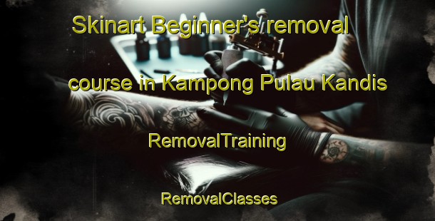 Skinart Beginner's removal course in Kampong Pulau Kandis | RemovalTraining | RemovalClasses | SkinartTraining-Malaysia