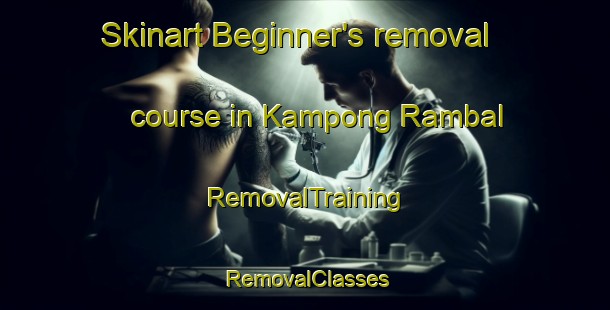 Skinart Beginner's removal course in Kampong Rambal | RemovalTraining | RemovalClasses | SkinartTraining-Malaysia