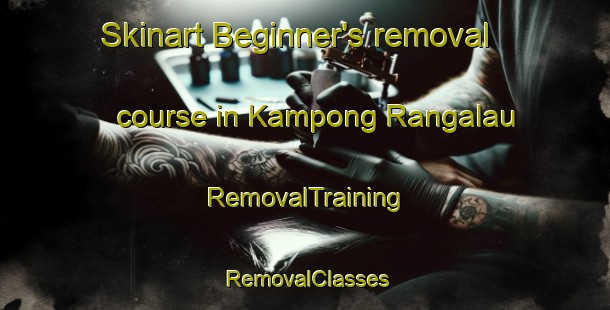Skinart Beginner's removal course in Kampong Rangalau | RemovalTraining | RemovalClasses | SkinartTraining-Malaysia