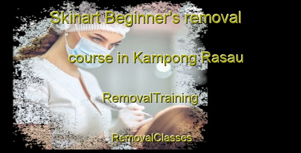 Skinart Beginner's removal course in Kampong Rasau | RemovalTraining | RemovalClasses | SkinartTraining-Malaysia