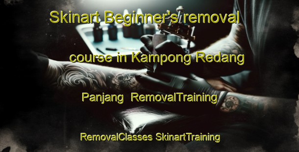 Skinart Beginner's removal course in Kampong Redang Panjang | #RemovalTraining #RemovalClasses #SkinartTraining-Malaysia