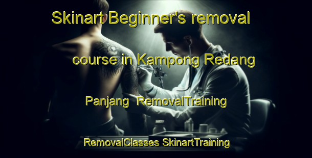 Skinart Beginner's removal course in Kampong Redang Panjang | #RemovalTraining #RemovalClasses #SkinartTraining-Malaysia