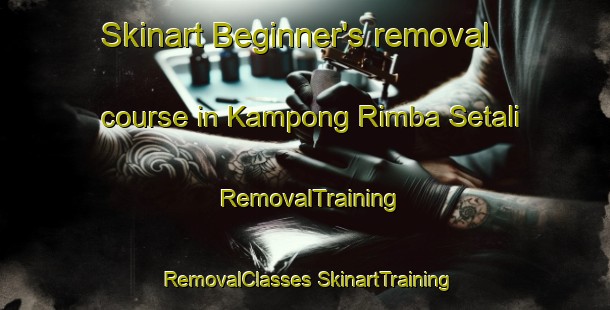 Skinart Beginner's removal course in Kampong Rimba Setali | #RemovalTraining #RemovalClasses #SkinartTraining-Malaysia