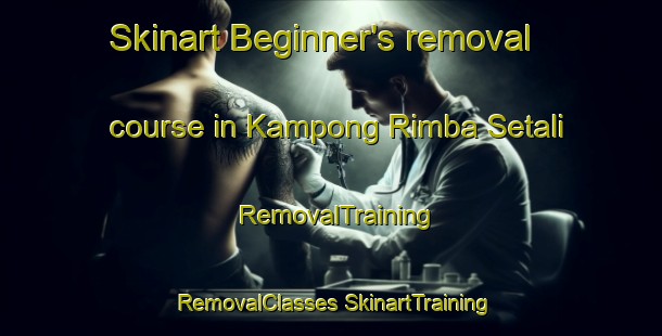 Skinart Beginner's removal course in Kampong Rimba Setali | #RemovalTraining #RemovalClasses #SkinartTraining-Malaysia