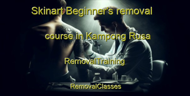 Skinart Beginner's removal course in Kampong Rusa | RemovalTraining | RemovalClasses | SkinartTraining-Malaysia