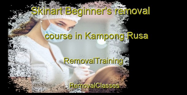 Skinart Beginner's removal course in Kampong Rusa | RemovalTraining | RemovalClasses | SkinartTraining-Malaysia