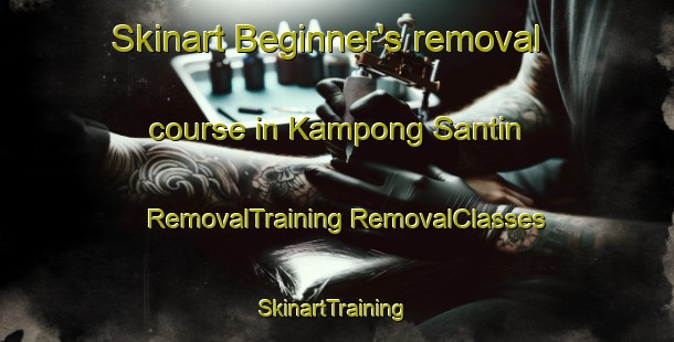 Skinart Beginner's removal course in Kampong Santin | #RemovalTraining #RemovalClasses #SkinartTraining-Malaysia