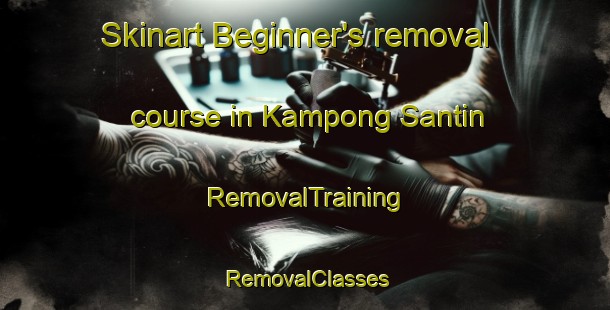 Skinart Beginner's removal course in Kampong Santin | RemovalTraining | RemovalClasses | SkinartTraining-Malaysia