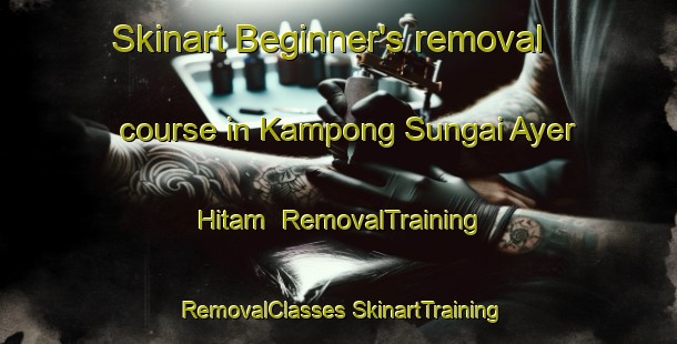 Skinart Beginner's removal course in Kampong Sungai Ayer Hitam | #RemovalTraining #RemovalClasses #SkinartTraining-Malaysia