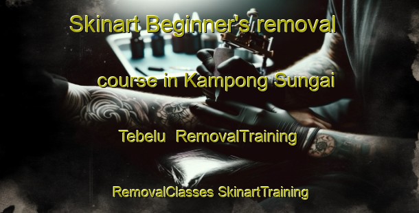 Skinart Beginner's removal course in Kampong Sungai Tebelu | #RemovalTraining #RemovalClasses #SkinartTraining-Malaysia