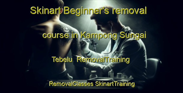 Skinart Beginner's removal course in Kampong Sungai Tebelu | #RemovalTraining #RemovalClasses #SkinartTraining-Malaysia