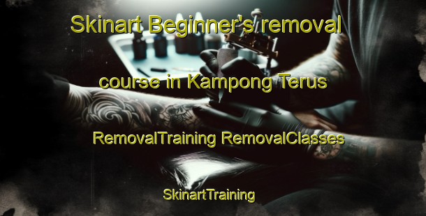 Skinart Beginner's removal course in Kampong Terus | #RemovalTraining #RemovalClasses #SkinartTraining-Malaysia