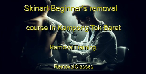 Skinart Beginner's removal course in Kampong Tok Barat | RemovalTraining | RemovalClasses | SkinartTraining-Malaysia