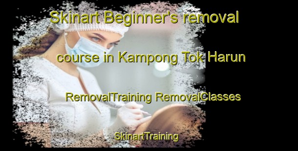 Skinart Beginner's removal course in Kampong Tok Harun | #RemovalTraining #RemovalClasses #SkinartTraining-Malaysia