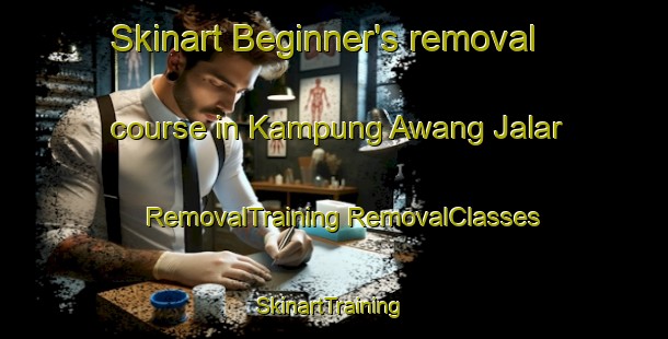 Skinart Beginner's removal course in Kampung Awang Jalar | #RemovalTraining #RemovalClasses #SkinartTraining-Malaysia