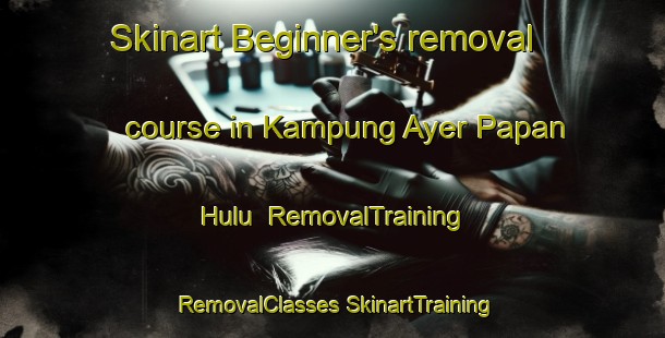 Skinart Beginner's removal course in Kampung Ayer Papan Hulu | #RemovalTraining #RemovalClasses #SkinartTraining-Malaysia