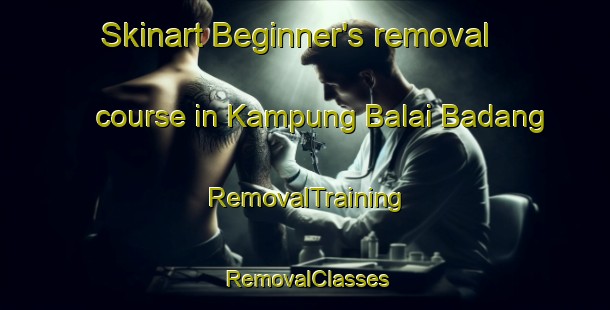 Skinart Beginner's removal course in Kampung Balai Badang | RemovalTraining | RemovalClasses | SkinartTraining-Malaysia
