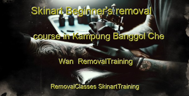 Skinart Beginner's removal course in Kampung Banggol Che Wan | #RemovalTraining #RemovalClasses #SkinartTraining-Malaysia