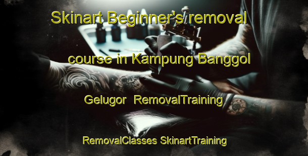 Skinart Beginner's removal course in Kampung Banggol Gelugor | #RemovalTraining #RemovalClasses #SkinartTraining-Malaysia