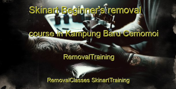 Skinart Beginner's removal course in Kampung Baru Cemomoi | #RemovalTraining #RemovalClasses #SkinartTraining-Malaysia