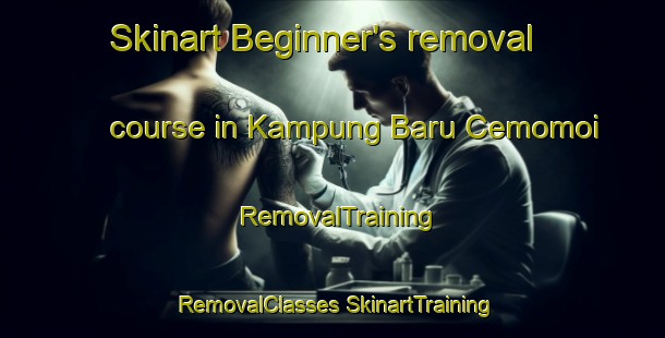 Skinart Beginner's removal course in Kampung Baru Cemomoi | #RemovalTraining #RemovalClasses #SkinartTraining-Malaysia