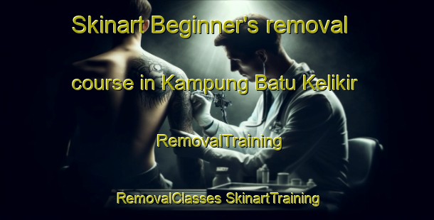 Skinart Beginner's removal course in Kampung Batu Kelikir | #RemovalTraining #RemovalClasses #SkinartTraining-Malaysia