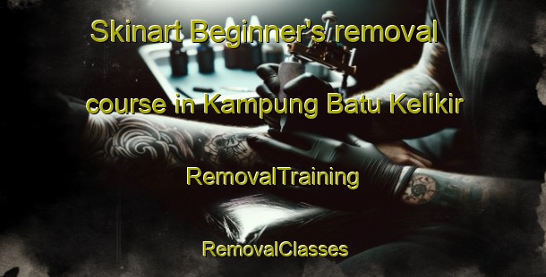 Skinart Beginner's removal course in Kampung Batu Kelikir | RemovalTraining | RemovalClasses | SkinartTraining-Malaysia