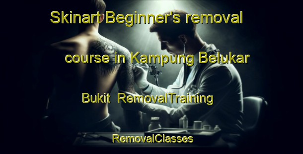 Skinart Beginner's removal course in Kampung Belukar Bukit | RemovalTraining | RemovalClasses | SkinartTraining-Malaysia