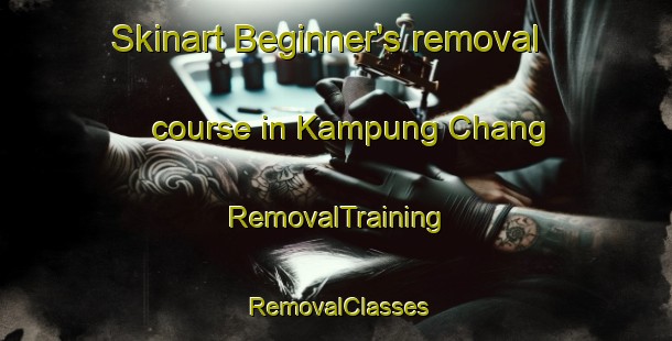 Skinart Beginner's removal course in Kampung Chang | RemovalTraining | RemovalClasses | SkinartTraining-Malaysia