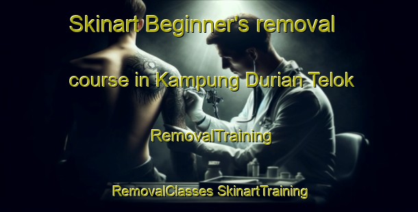 Skinart Beginner's removal course in Kampung Durian Telok | #RemovalTraining #RemovalClasses #SkinartTraining-Malaysia