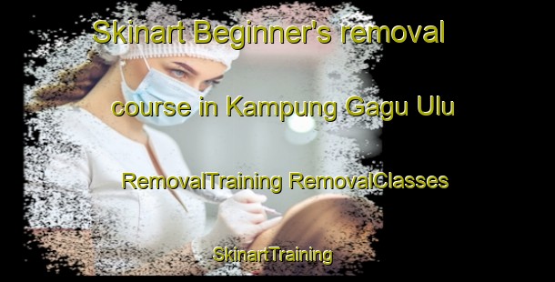 Skinart Beginner's removal course in Kampung Gagu Ulu | #RemovalTraining #RemovalClasses #SkinartTraining-Malaysia