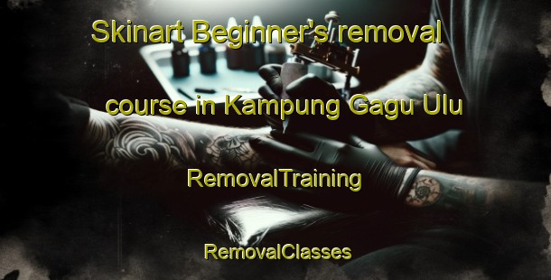 Skinart Beginner's removal course in Kampung Gagu Ulu | RemovalTraining | RemovalClasses | SkinartTraining-Malaysia