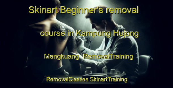 Skinart Beginner's removal course in Kampung Hujong Mengkuang | #RemovalTraining #RemovalClasses #SkinartTraining-Malaysia