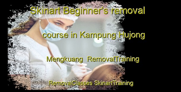 Skinart Beginner's removal course in Kampung Hujong Mengkuang | #RemovalTraining #RemovalClasses #SkinartTraining-Malaysia