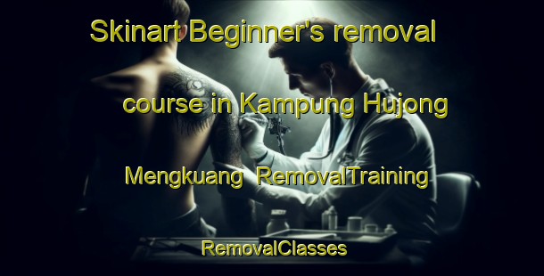 Skinart Beginner's removal course in Kampung Hujong Mengkuang | RemovalTraining | RemovalClasses | SkinartTraining-Malaysia