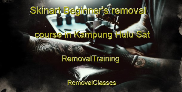 Skinart Beginner's removal course in Kampung Hulu Sat | RemovalTraining | RemovalClasses | SkinartTraining-Malaysia